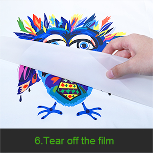 Poudre d'impression adhésive DTF en poudre textile TPU en poudre Copolyester en poudre adhésive à fusion chaude 7