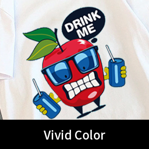 Film d'imprimante A4 / A3 DTF peeling à froid 75U épaisseur PET Film de libération non adhésif 2