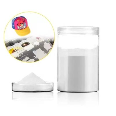 1 kg de poudre adhésive de fusion DTF poudre de fusion à chaud TPU pour l'impression par imprimante DTF