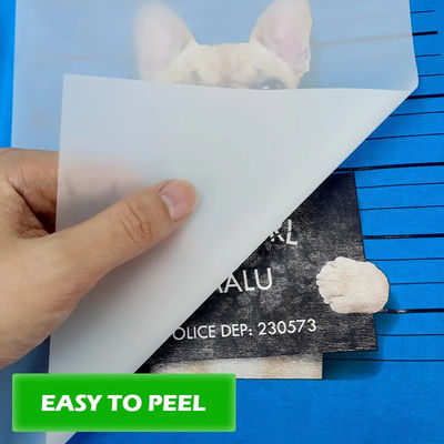 Maximisez votre potentiel d'impression avec des matériaux d'impression DTF 30cm*100m 75U Ruloir de film pour animaux de compagnie à double face peeling à froid