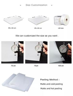 Film d'impression polyester en silicone de 100 microns pour l'impression offset et la sérigraphie