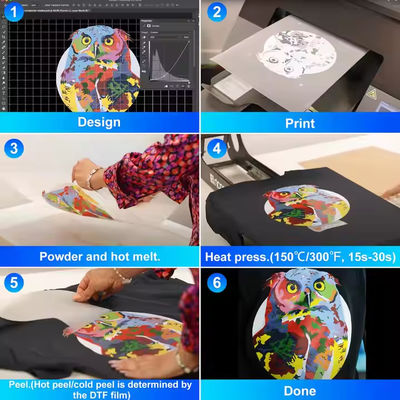 60cm*100m Roll Hot Peel Double Site Coated Transfert de chaleur personnalisé Dtf Pet Film