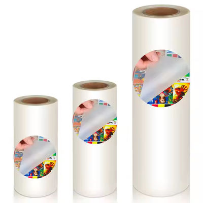 60 cm x 100 M film DTF PET film de transfert thermique en rouleau pour vêtements avec compatibilité en poudre TPU