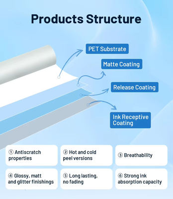 60 cm x 100 M film DTF PET film de transfert thermique en rouleau pour vêtements avec compatibilité en poudre TPU