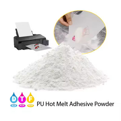1 kg de poudre adhésive TPU pour l'impression de T-shirts DTF, prête à être pressée à chaud