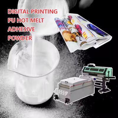 Poudre de TPU à fusion chaude DTF pour imprimés personnalisés de haute qualité (1 kg, 2 kg)